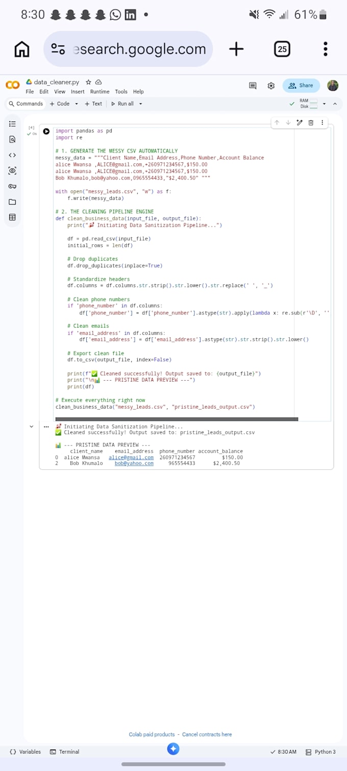 clean format and organize your excel or csv data with python