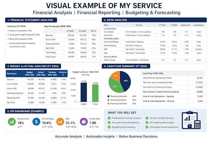 provide professional financial, financial reporting, budgeting,