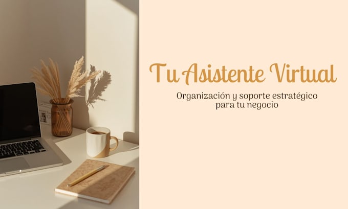 ofreceré asistencia virtual y gestión administrativa