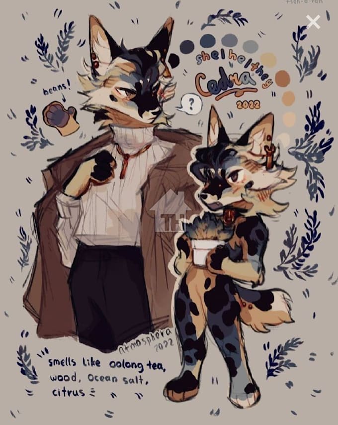 draw furry art, fursona, anthro art