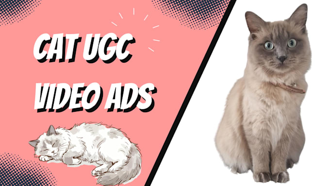 create authentic tiktok and reels ugc with my ragdoll cat
