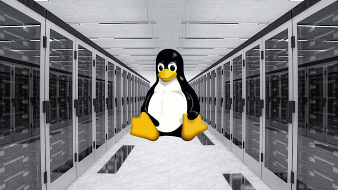 setup and configure and secure your linux server