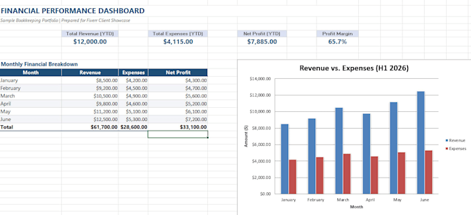 provide accurate bookkeeping and excel services