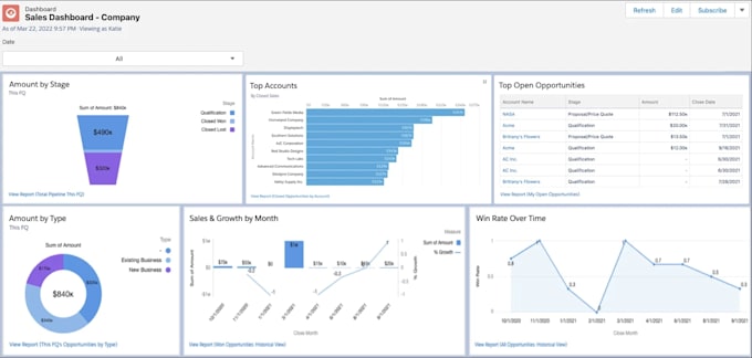 create professional salesforce reports and dashboards