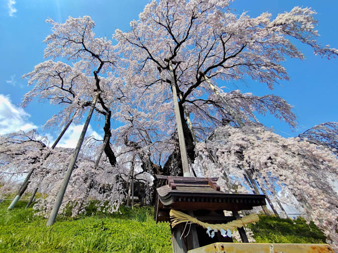 design a custom japan travel experience beyond sightseeing