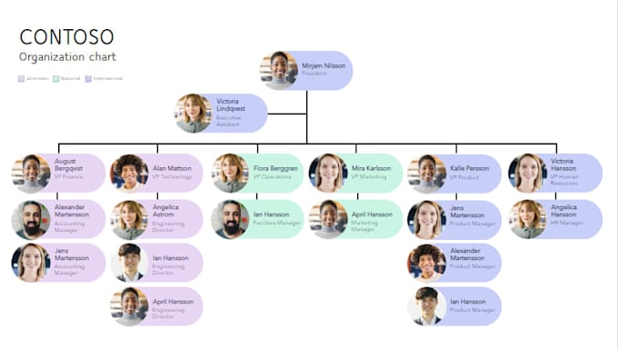 design a pro organizational structure or organization chart