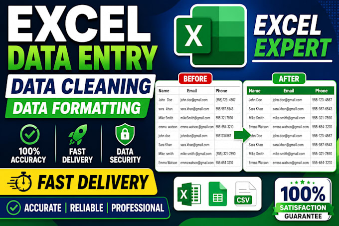 clean and organize excel data and datasets professionally