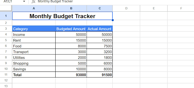 create professional excel spreadsheet or budget tracker