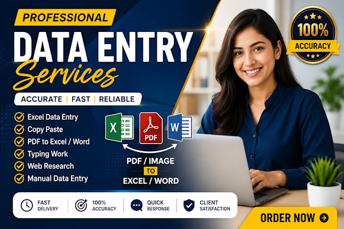 provide accurate data entry excel data entry and copypaste