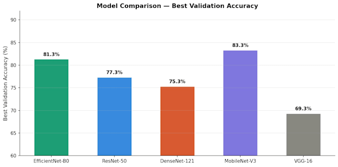 build a custom ai image classification model in python