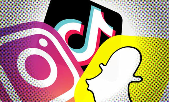 develop snapchat, facebook, instagram, whatsapp, telegram, reddit clone app