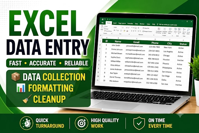 do accurate excel data entry and spreadsheet formatting