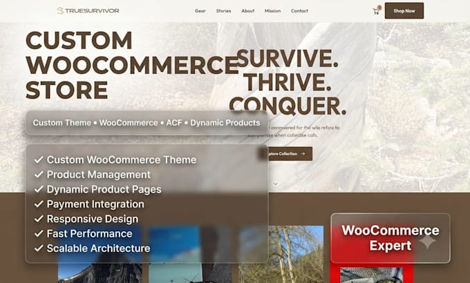 develop dynamic wordpress website using elementor pro