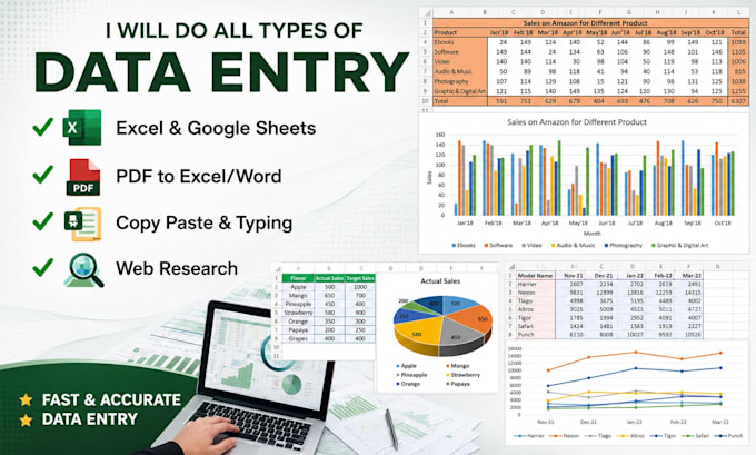 professionally data entry or data typing