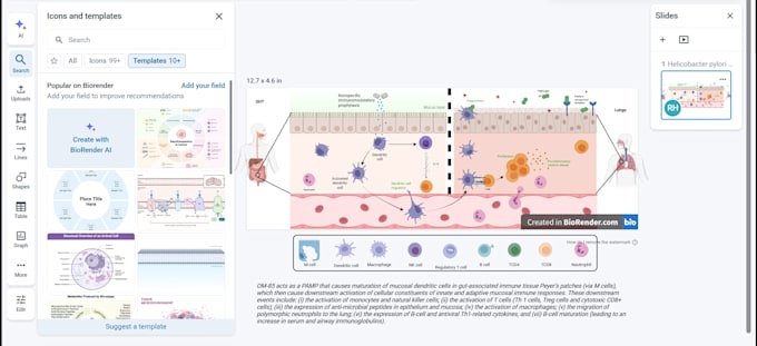 create professional medical and scientific illustrations using biorender
