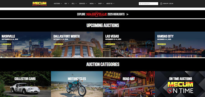 do a saas or shop website for you