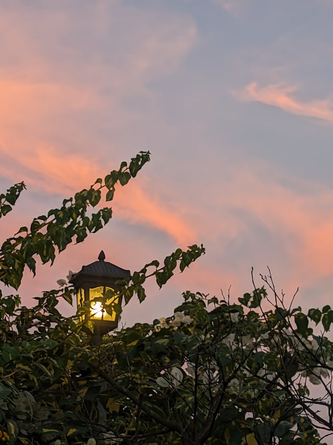 provide stunning photography services