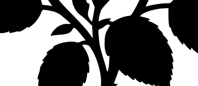 design custom tattoo artwork ready for ink