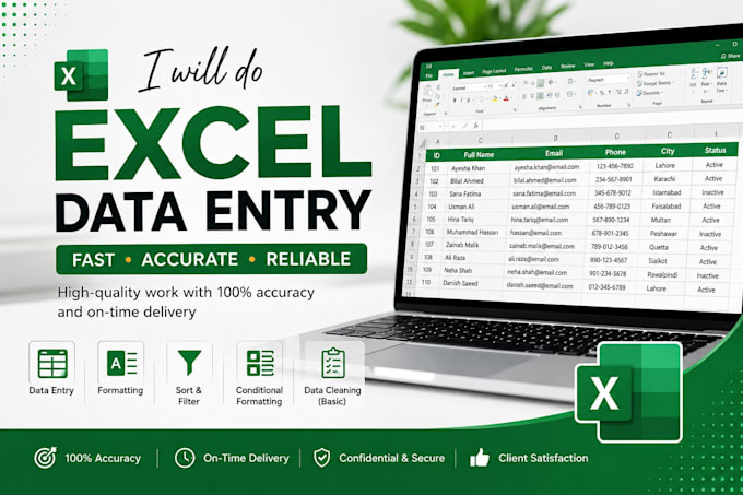 do professional excel data entry, formatting and data cleaning