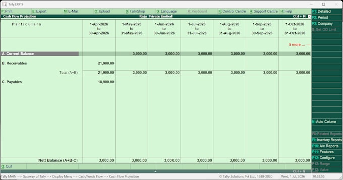 do something much more professional work of tally and excel