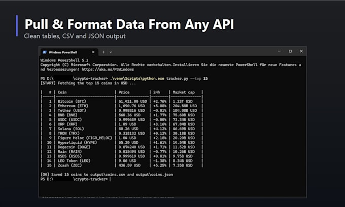 build a python script to pull and format data from any API
