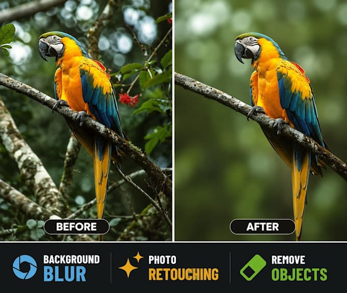 do background blur,retouching and remove simple objects