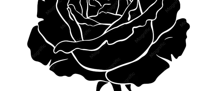 design fine line tattoo illustration