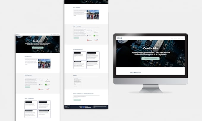 develop a wordpess website for your business
