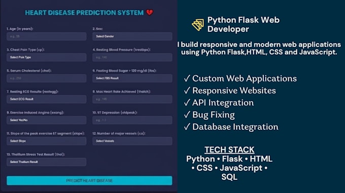 develop a professional python flask web application