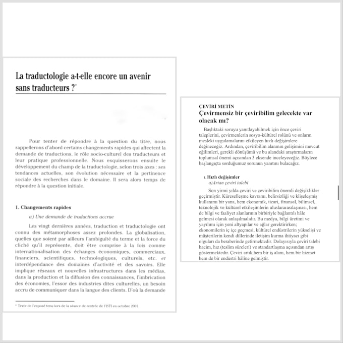translate your documents accurately