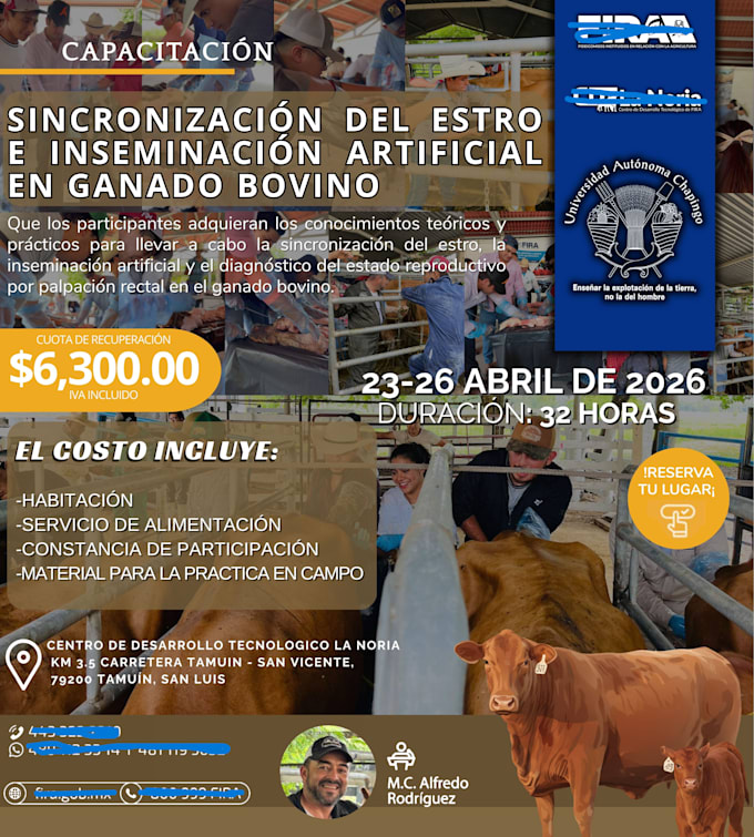 creare flyers de calidad para ti