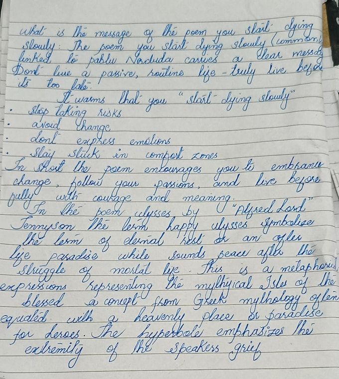 write neat handwritten assignments and essays