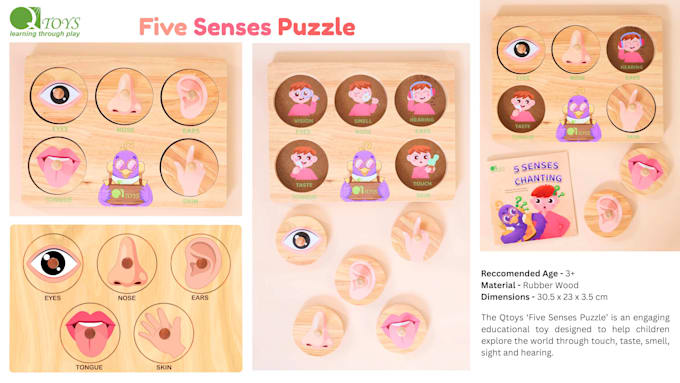 design toys inspired by biology