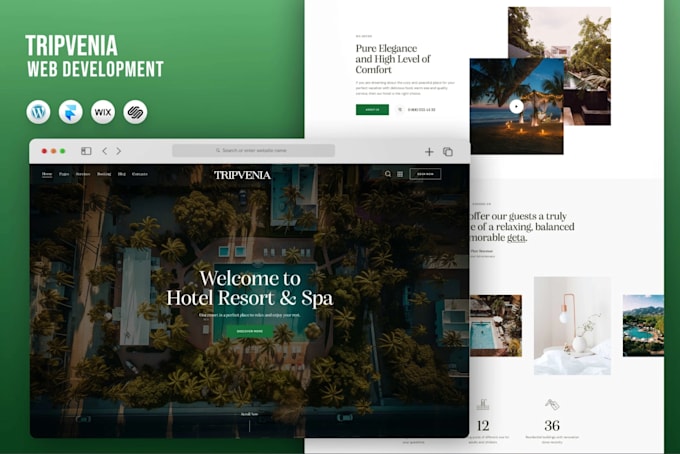 build luxury website design and website development