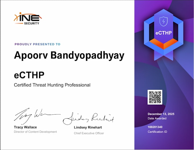 provide professional cybersecurity training