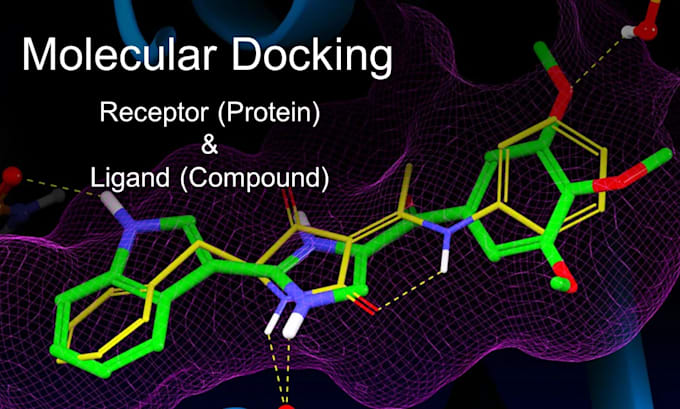 do receptor ligand docking and molecular interactions for drug discovery