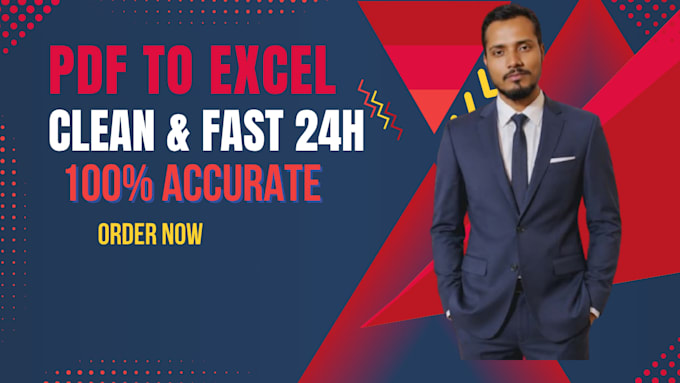 convert PDF to excel data in 24h