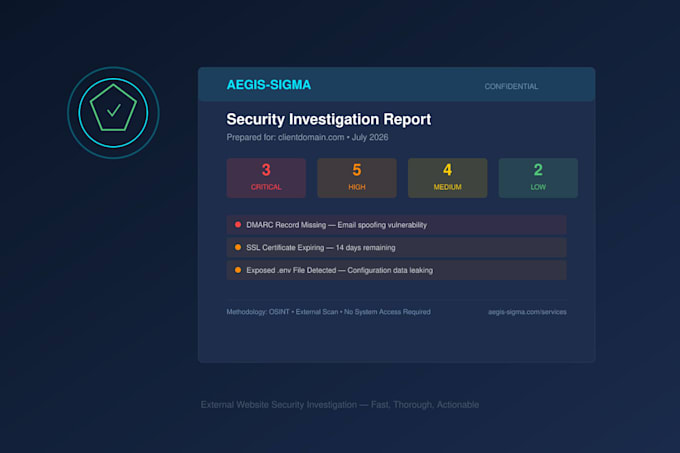 do a professional website security audit and vulnerability scan