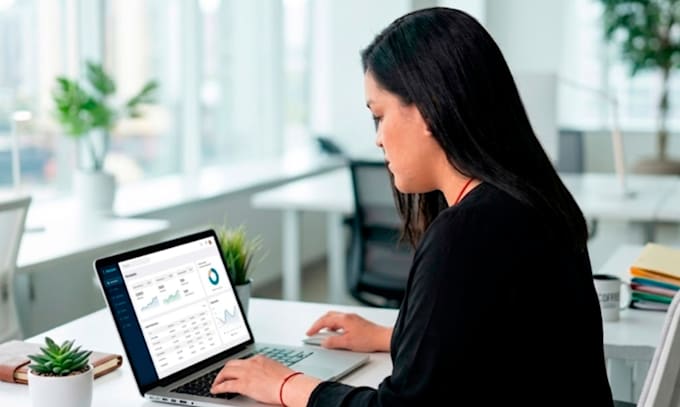 be your expert virtual assistant for data entry and database management