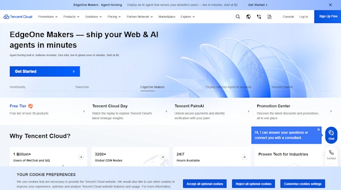 website development, backend development