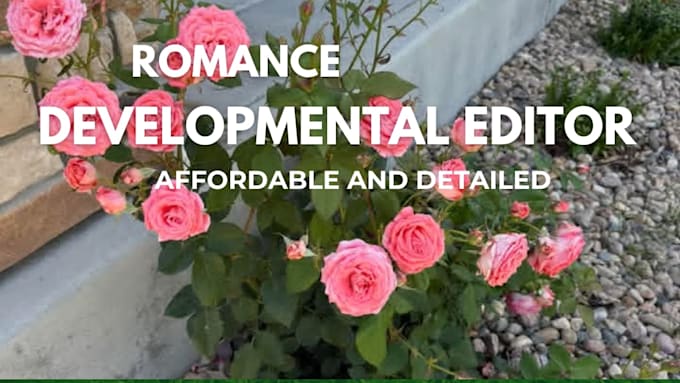 developmental edit your romance novel