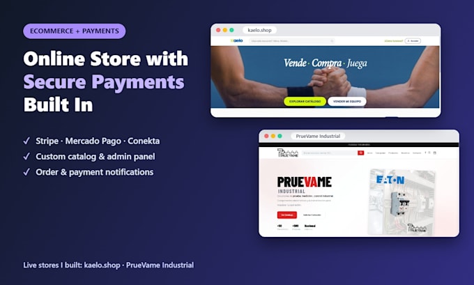 build an ecommerce website with stripe or mercado pago payments