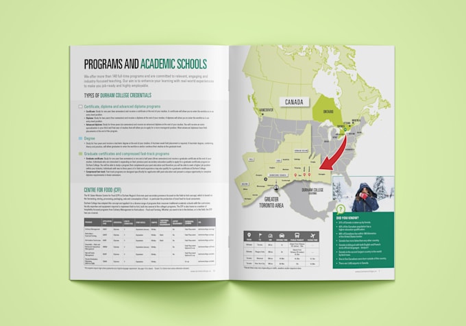 design an annual report, esg report and company profile