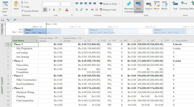 create professional microsoft project plans and gantt charts