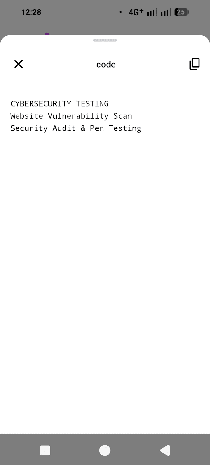 do website vulnerability scan and security report in 24h