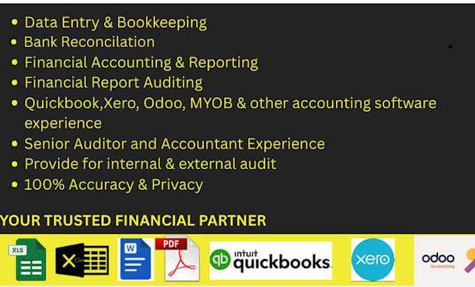 do professional data entry, bookkeeping, financial reporting , auditing
