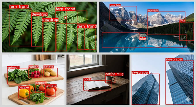 do image annotation, data labeling, bounding box and ai data