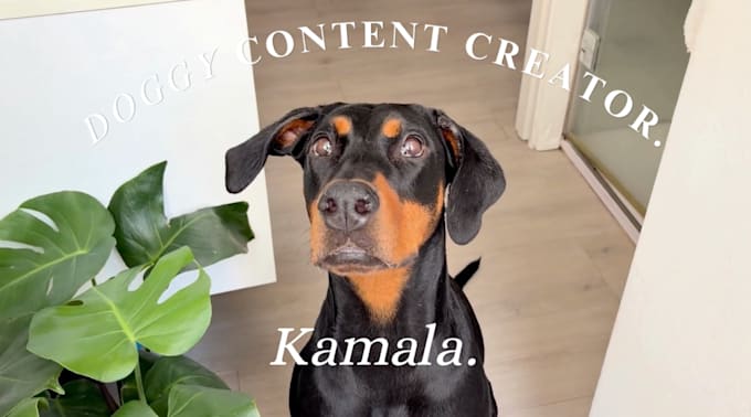 create dog ugc content for your brand