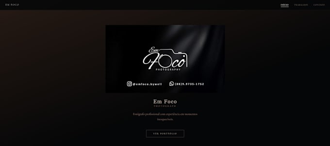 create a professional portfolio website