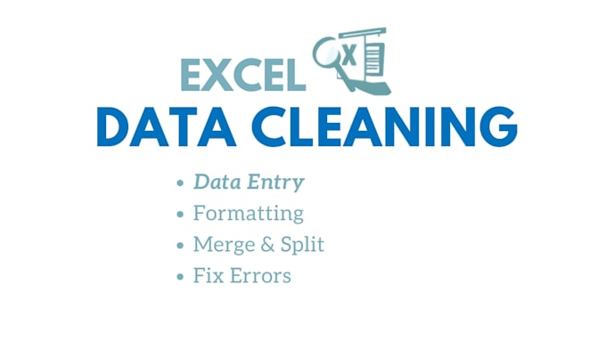 clean excel data and do accurate data entry